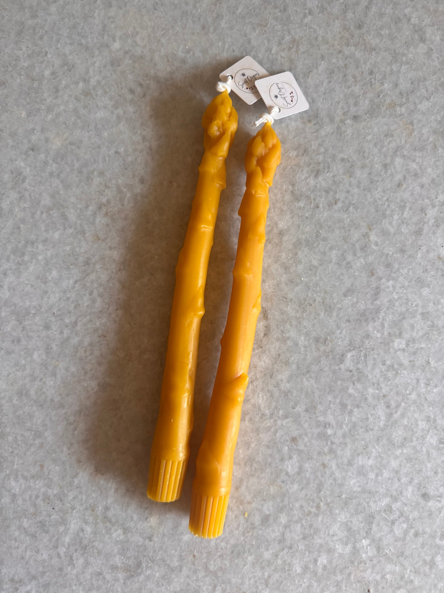 Beeswax Candle :: Asparagus Taper 8.5”