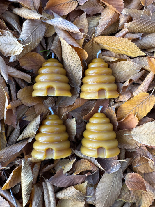 Beeswax Candle Bundle :: Beehive Votives