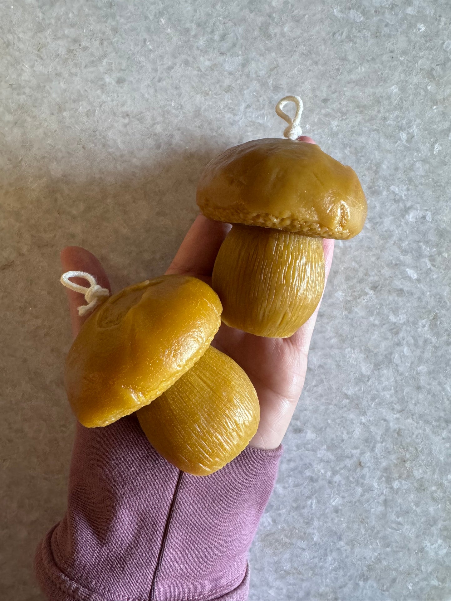 Beeswax Candle :: Penny Bun Mushroom