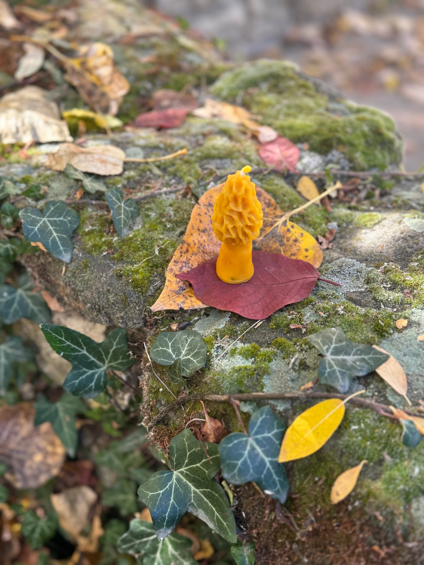 Beeswax Candle Mold : Morel, Mini