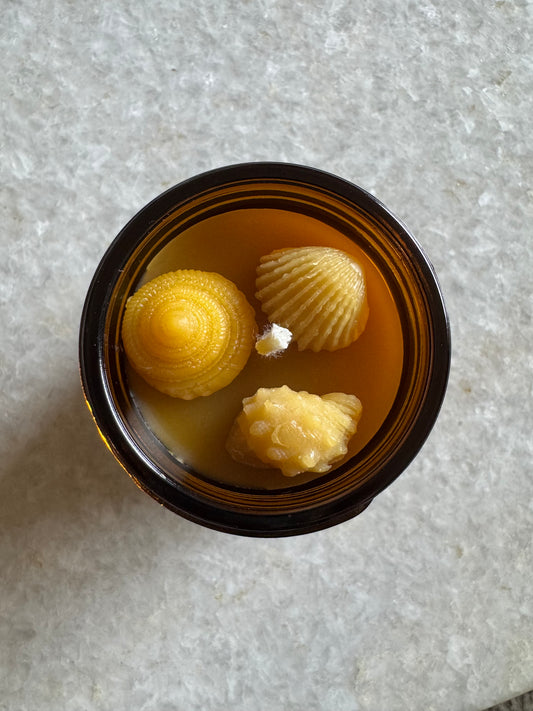 Beeswax Candle : Simple Seashell