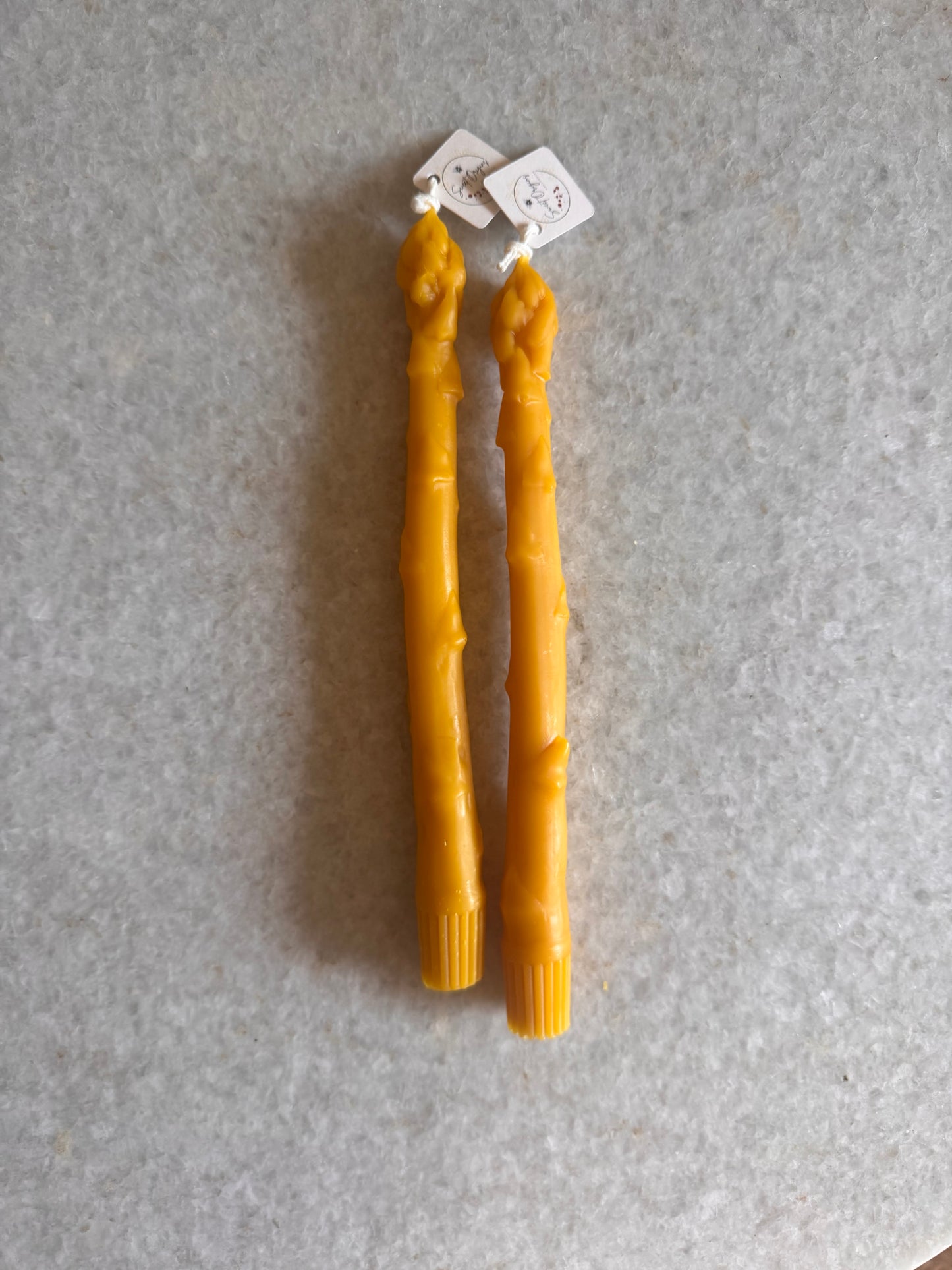 Beeswax Candle :: Asparagus Taper 8.5”