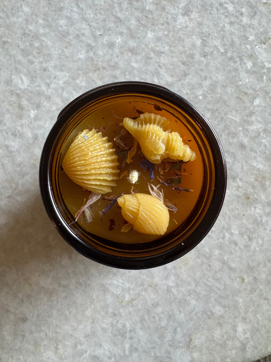 Beeswax Candle : Flower Seashell