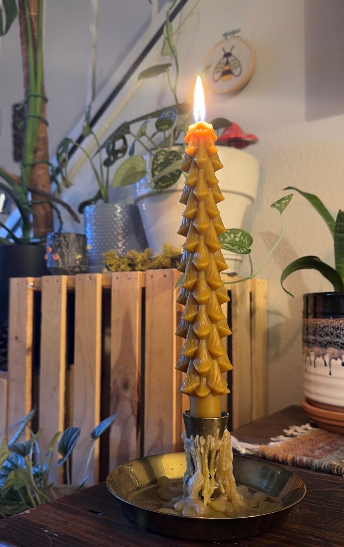 Beeswax Candle :: Pine Tree Taper
