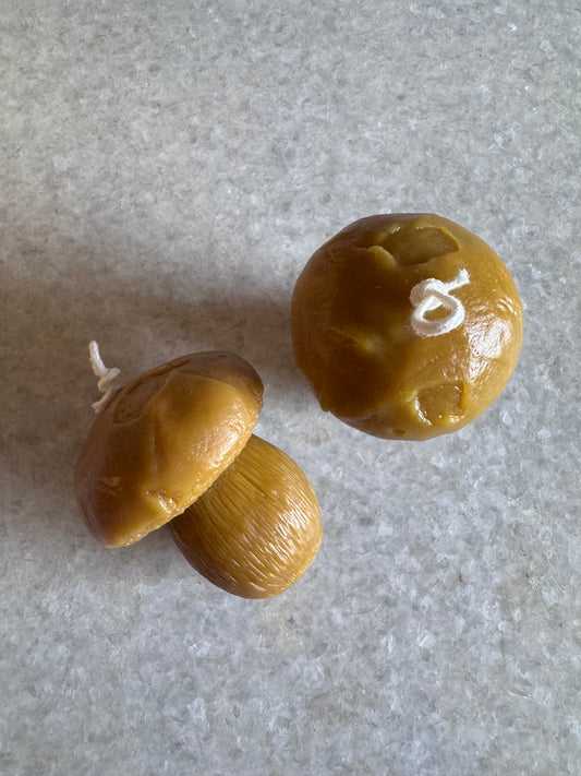 Beeswax Candle :: Penny Bun Mushroom