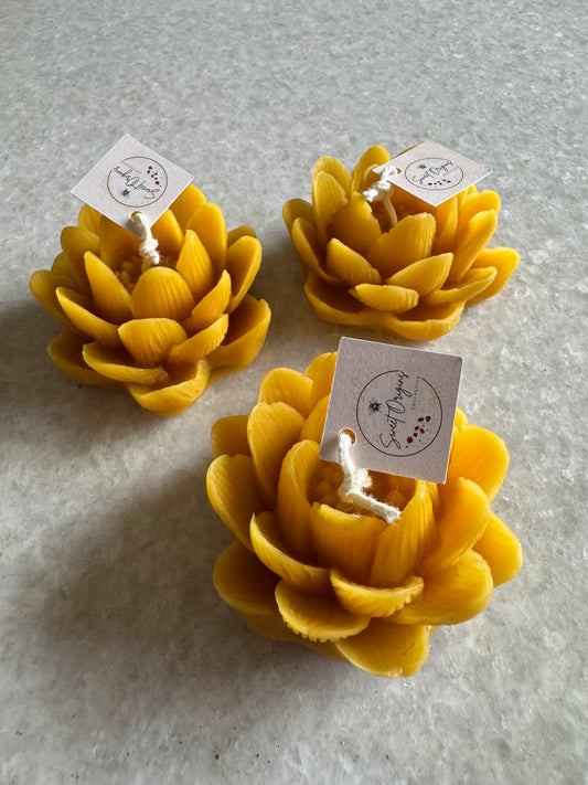 Beeswax Candle :: Lotus Flower