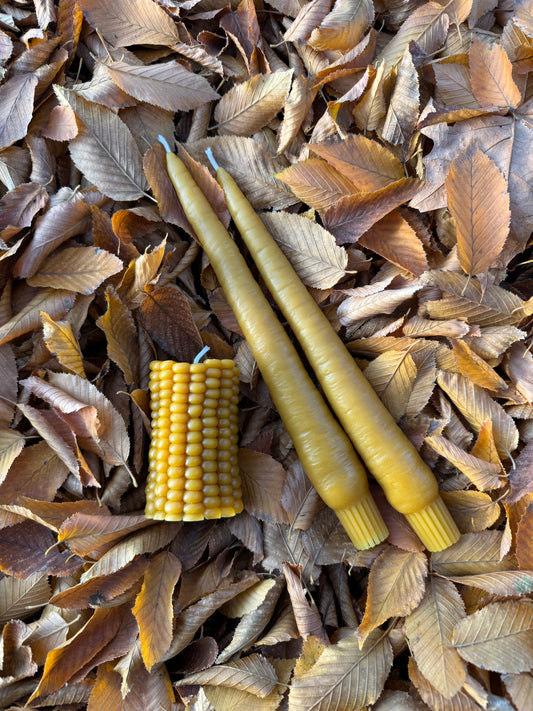 Beeswax Candle Bundle :: Garden Lover