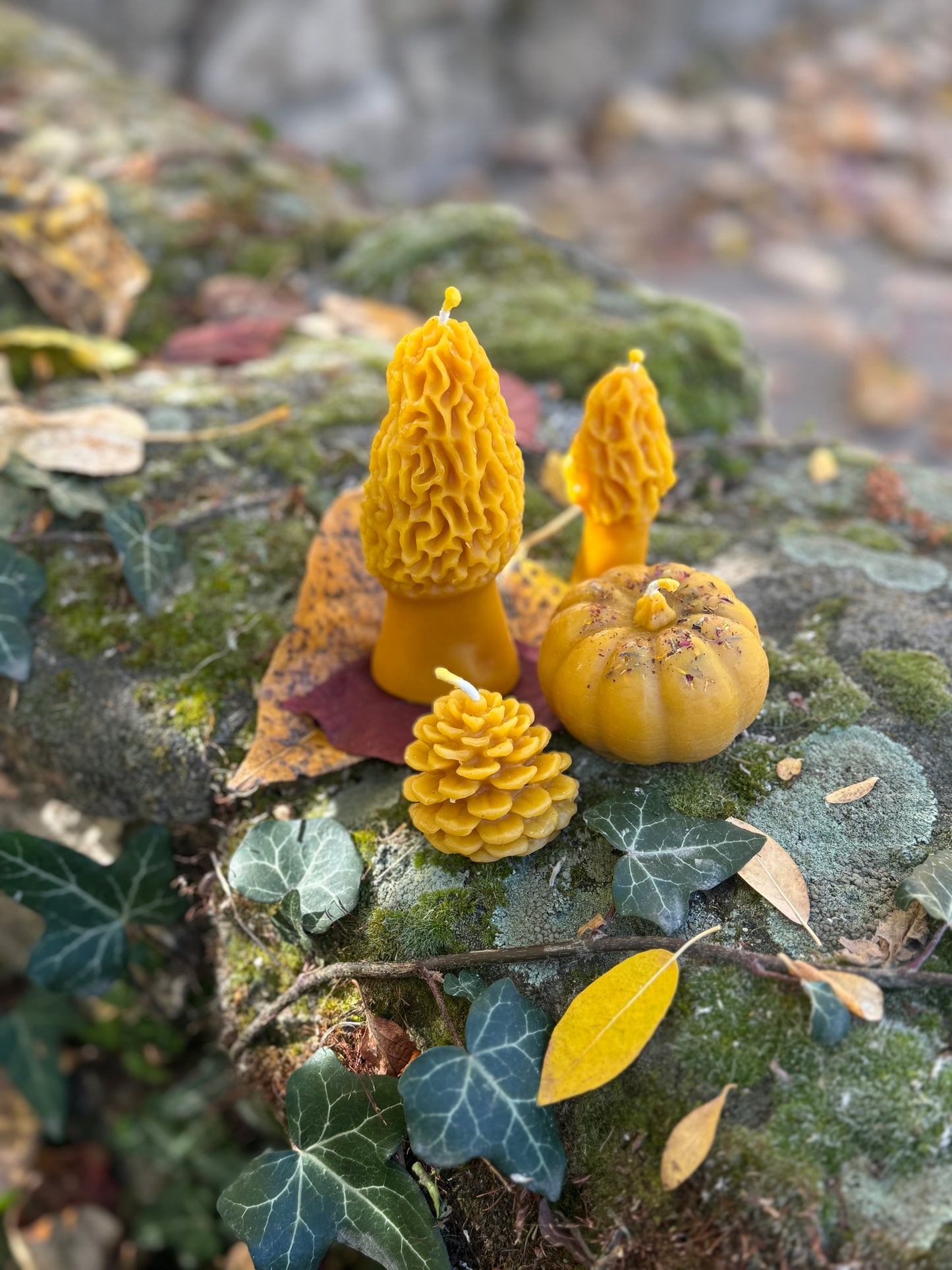 Beeswax Candle Mold : Pinecone