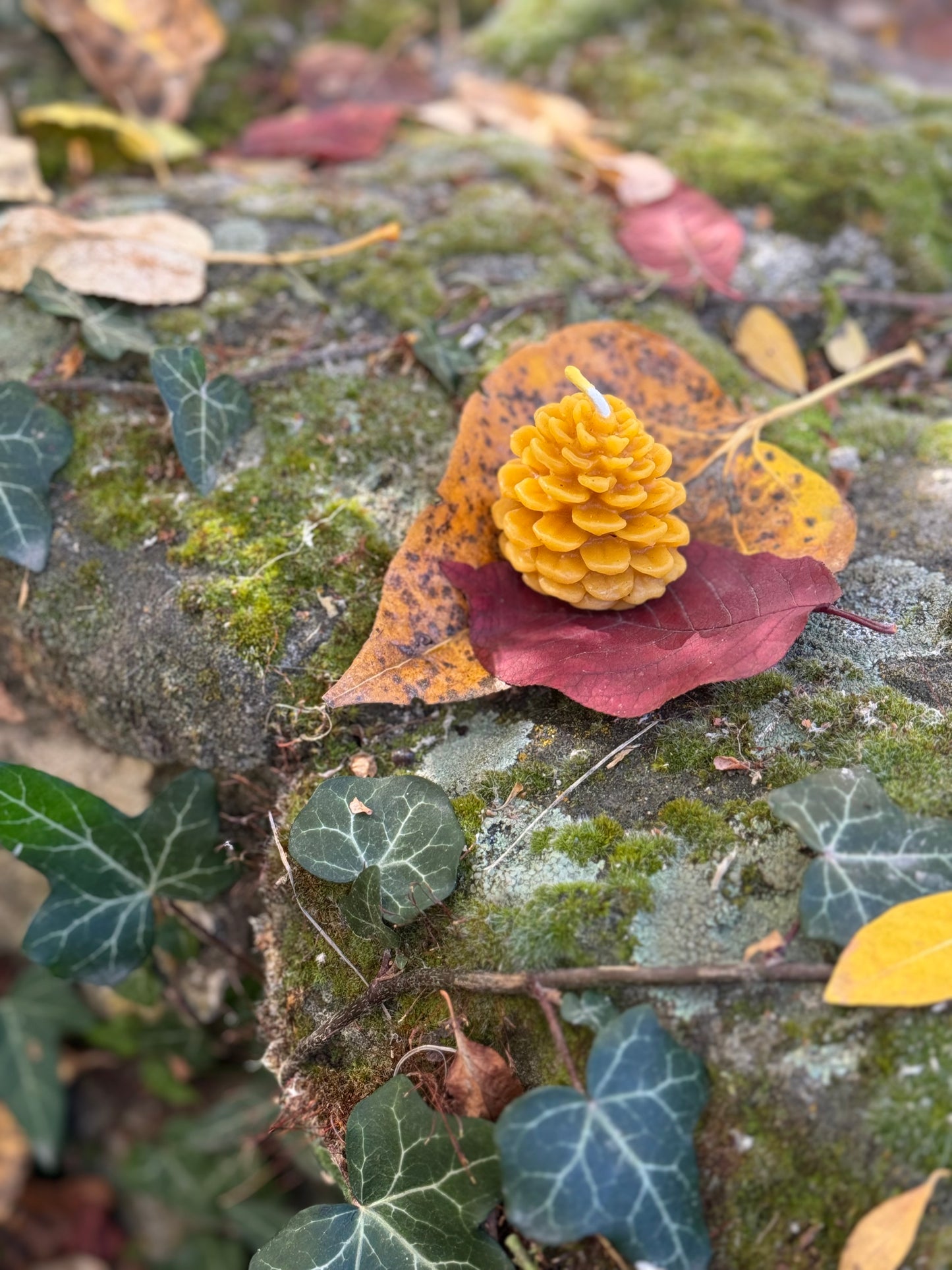 Beeswax Candle Mold : Pinecone