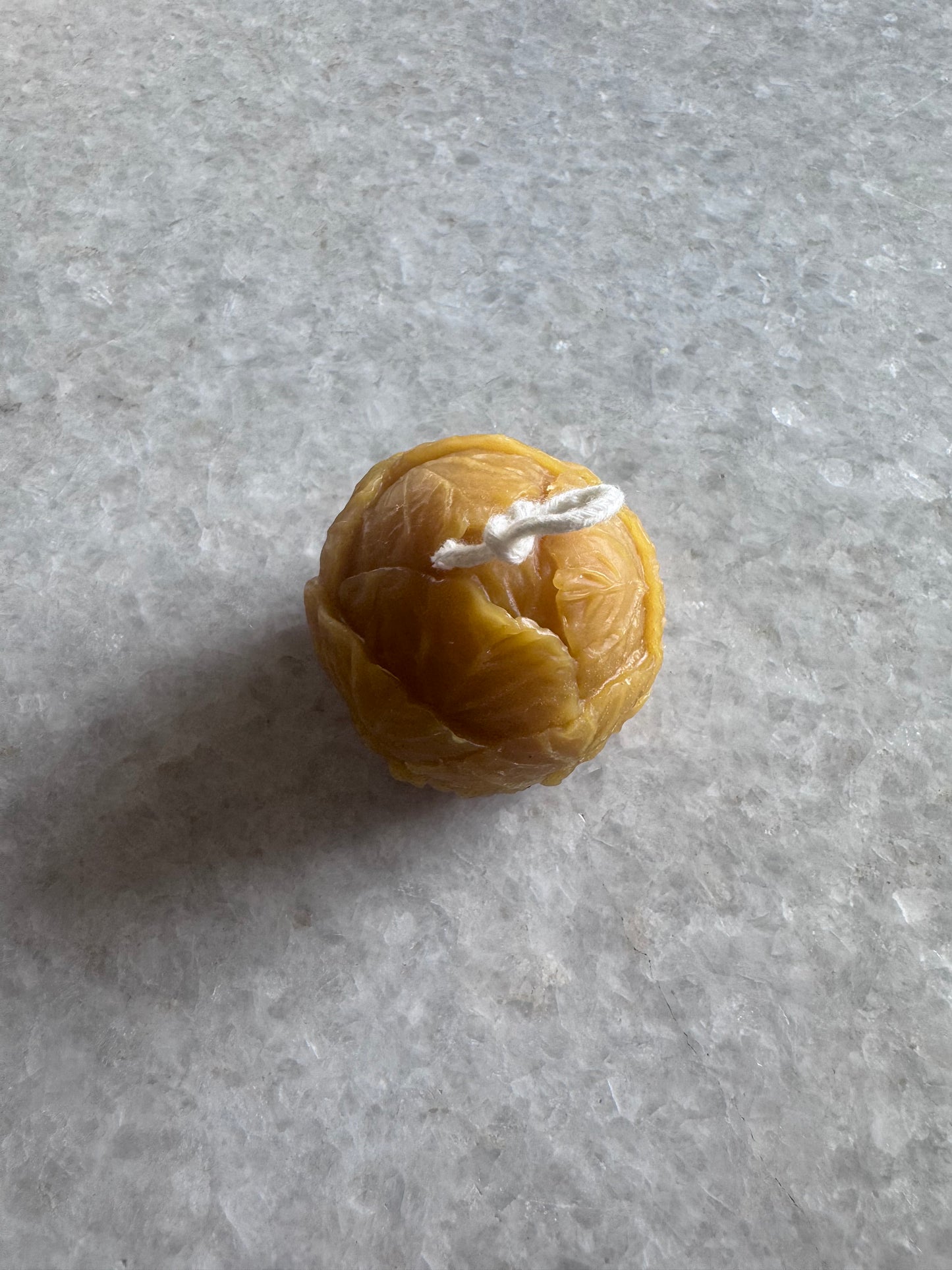 Beeswax Candle :: Brussels Sprout