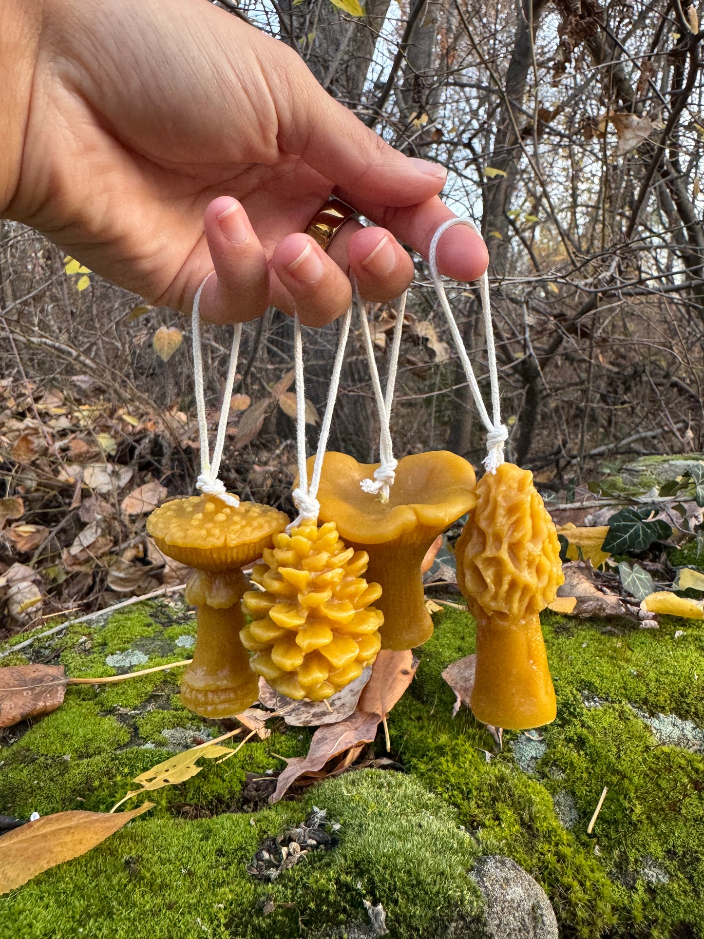 Beeswax Candle Bundle :: Ornaments