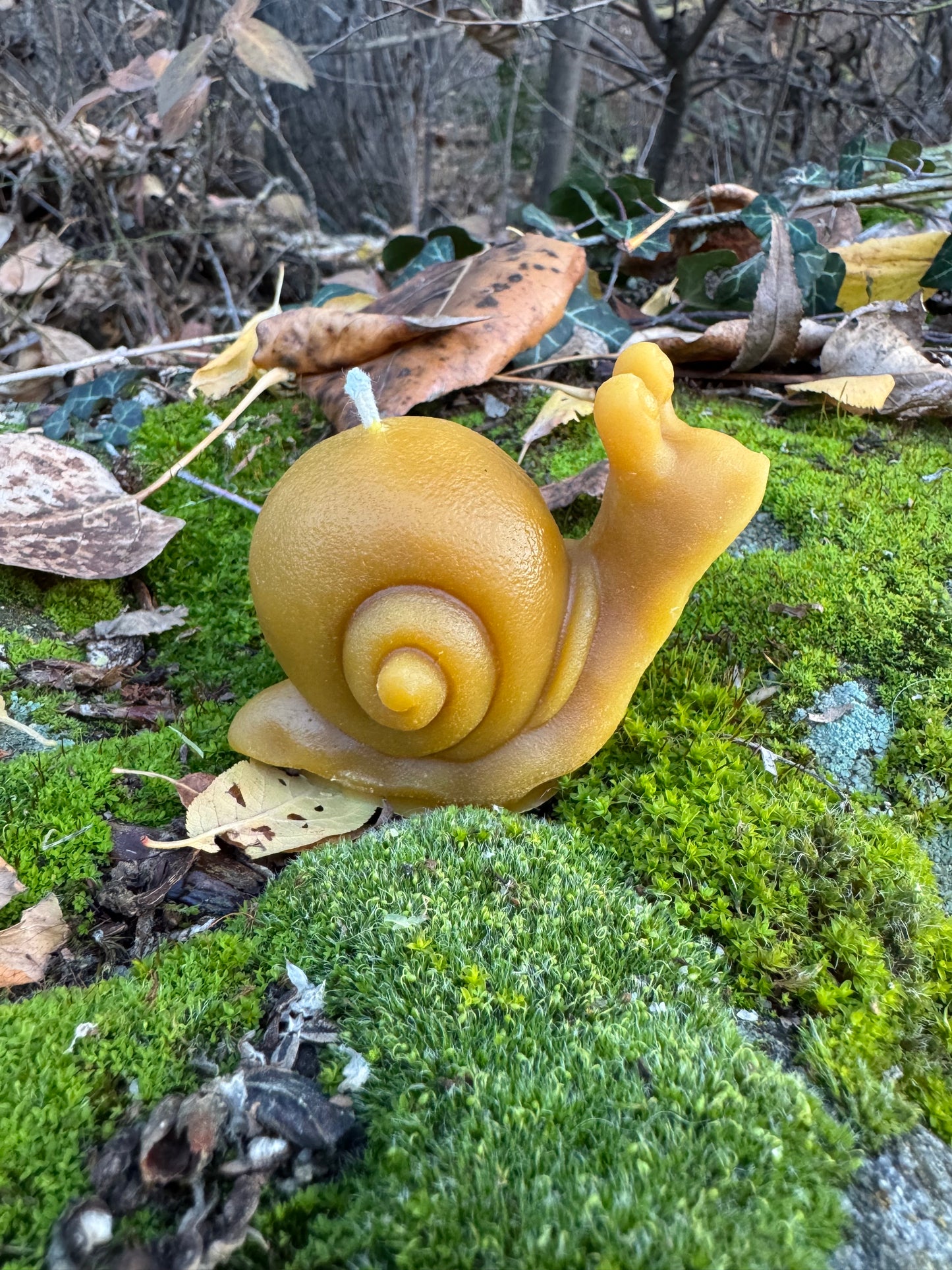 Beeswax Candle :: Snail